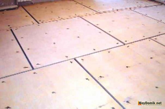 Фанера для пола – какая фанера лучше для устройства полов в доме