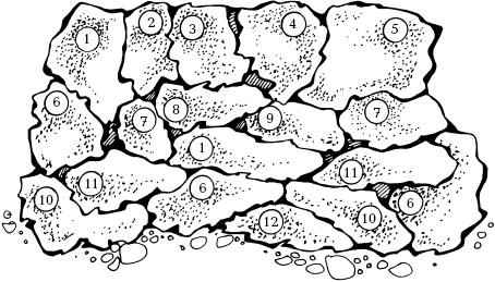 Миксбордер - схема групповой посадки 