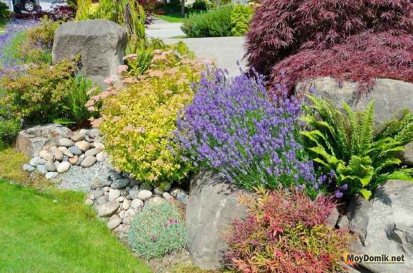 Альпийская горка на даче своими руками