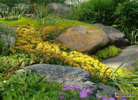 Альпийская горка с большими камнями