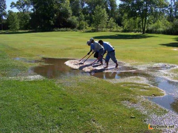 Партерный газон после ливня