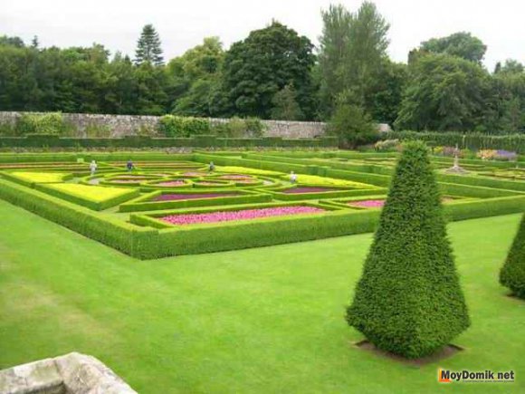 Партерный газон