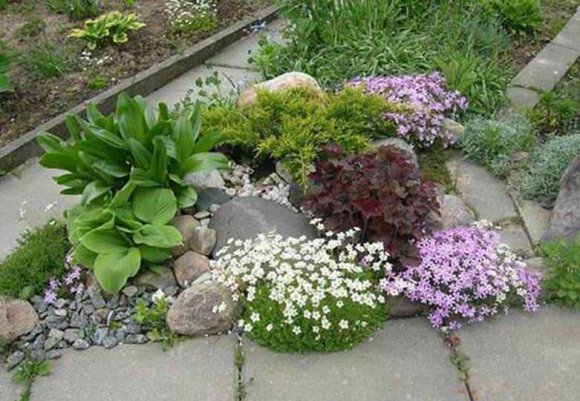 Рокарий на даче своими руками