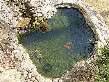 Искусственный пруд – устройство водоема на даче своими руками