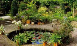 Декоративный пруд в саду