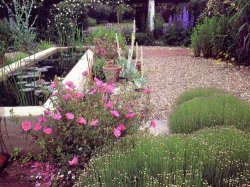 Водоем с высокими стенками