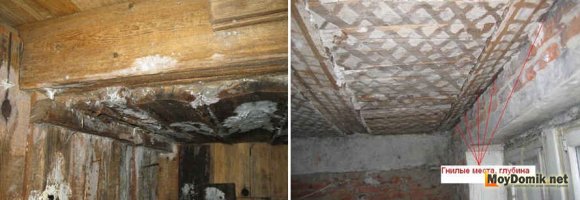 Гниение и повреждение плесенью деревянных балок перекрытия