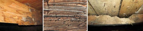 Червоточины на деревянных балках перекрытия