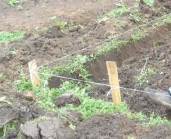 Разметка отмостки дома