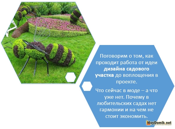 Ландшафтный дизайн садового участка своими руками