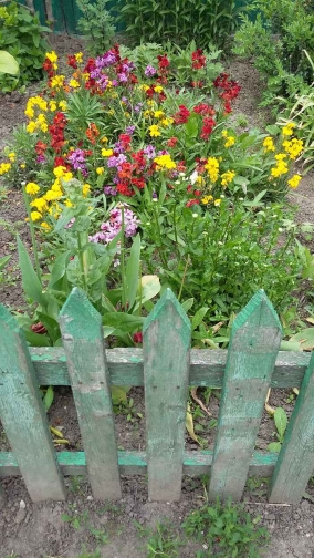 Дизайн сельского сада