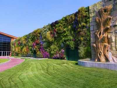 Вертикальное озеленение в ландшафтном дизайне – выбираем опоры для вьющихся растений