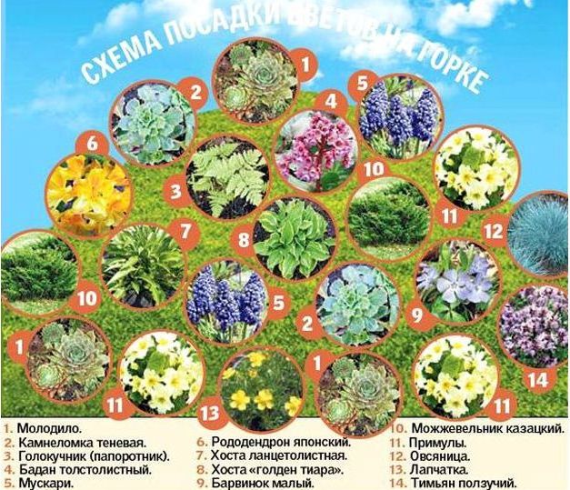 Альпийская горка - схема 4