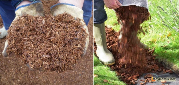 Засыпка мульчи - как сделать дорожку из коры дерева