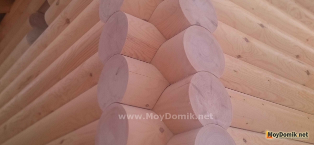 Оцилиндрованное бревно &ndash; характеристики, виды, размеры, плюсы и минусы